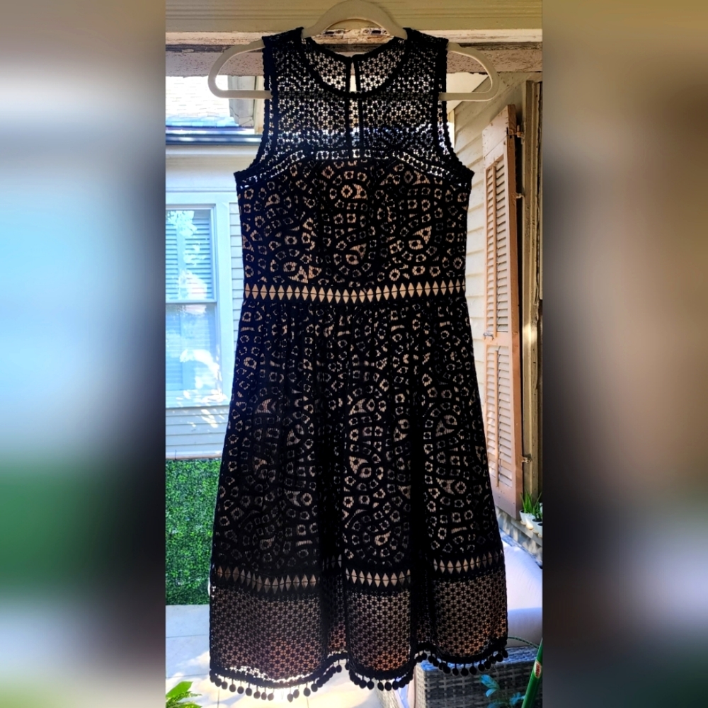 Wow!Eliza J Lace Dress, Great Details